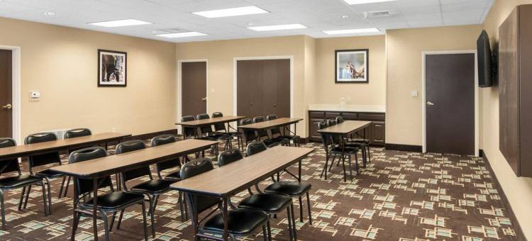 舒适套房酒店(Comfort Suites)图片