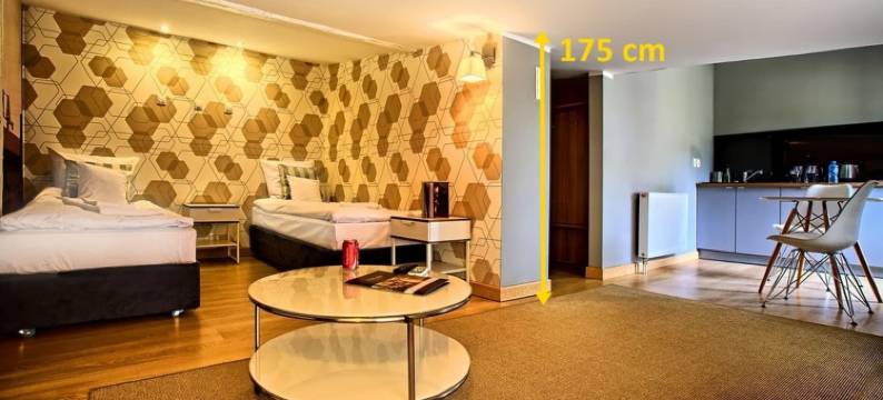 斯塔雷基诺剧院法义公寓式酒店(Stare Kino Cinema Residence)图片