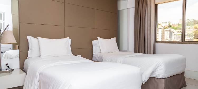 贝洛奥里藏特卢尔德希尔顿花园酒店(Hilton Garden Inn Belo Horizonte, Brazil)图片