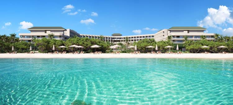 Joia Aruba by Iberostar图片