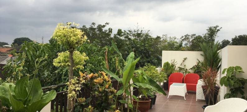 格利亚尤尼卡精品家庭旅馆(Griya Yunika)图片