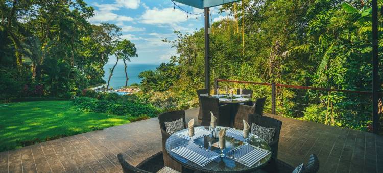 洛斯奥托斯度假村(Los Altos Resort)图片