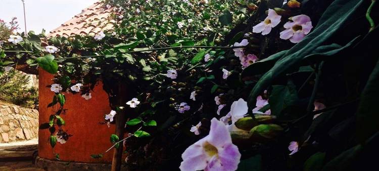 里威兹村酒店(Rwiza Village)图片