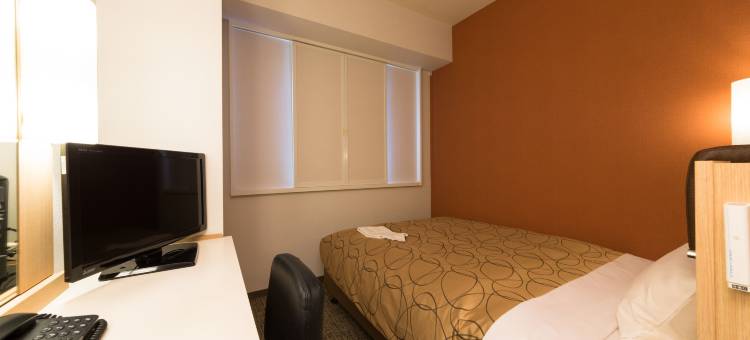 三交旅馆-静冈北口(Sanco Inn Shizuoka Kitaguchi)图片