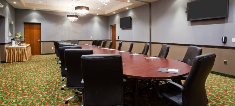 Holiday Inn 欧克莱尔(Holiday Inn Eau Claire South I-94)图片