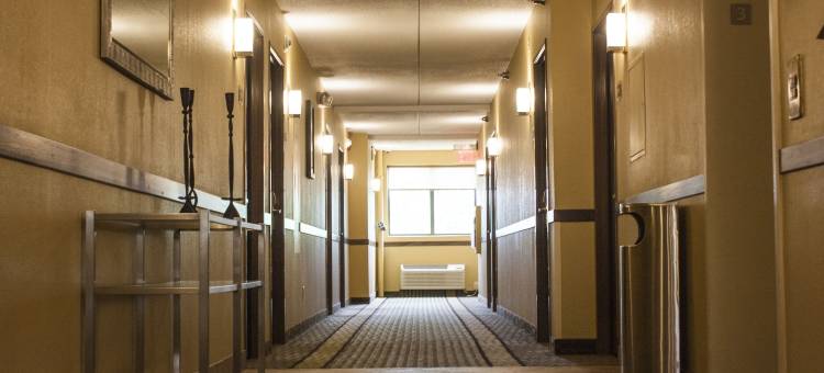 科普利阿克伦舒适套房酒店(Comfort Inn & Suites Copley Akron)图片