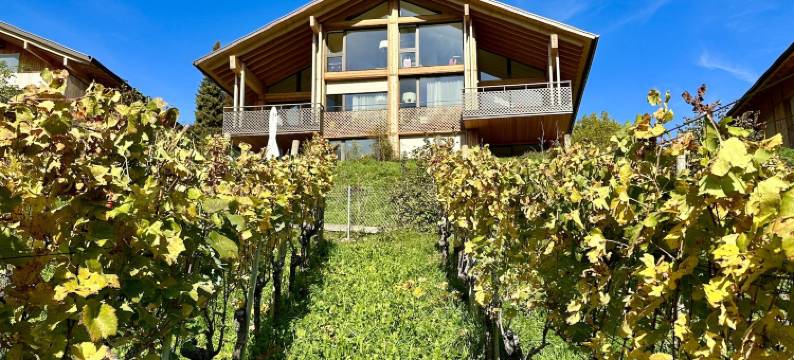 海滨旅馆(Seaside Lodge)图片