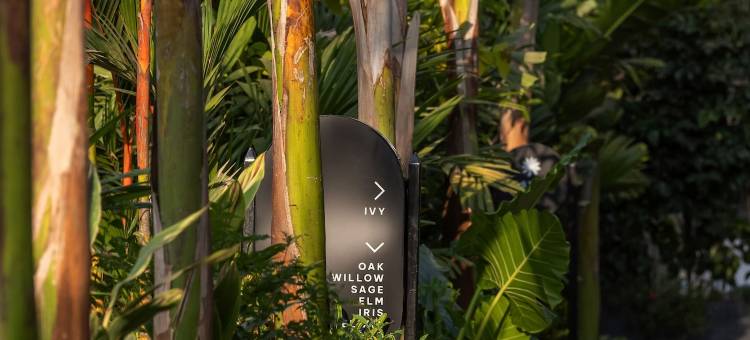 塞雷度假村果阿(Seré Resort Goa)图片