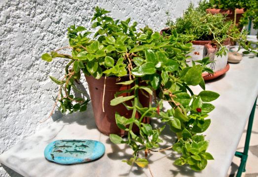 New Aurora Apts Studios Hotel Overview