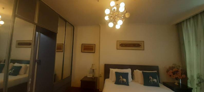 安乔大厦(Ancol Mansion Apartment)图片