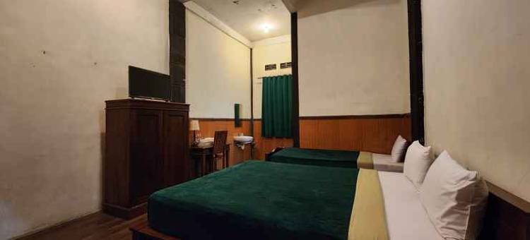 伊思坦纳佩塔尼酒店(Istana Petani Hotel)图片