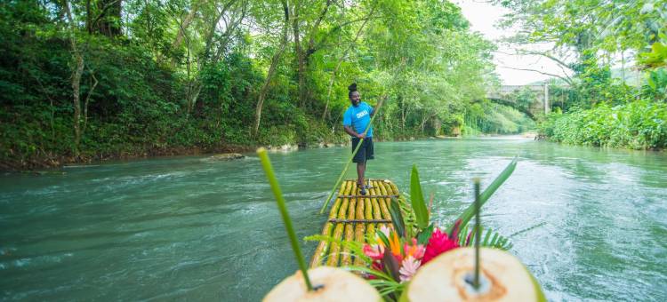 Wabi-Sabi 别墅(Wabi-Sabi Villa)图片