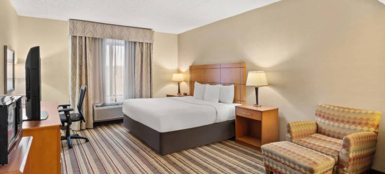 舒适酒店-大都会机场(Comfort Inn Metro Airport)图片