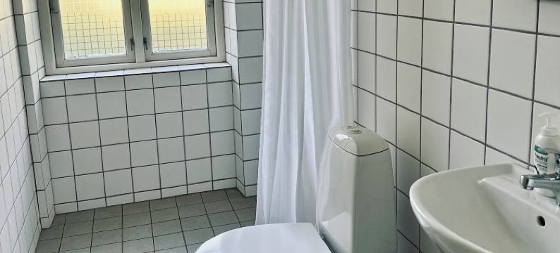 斯瓦勒霍尔姆农庄罗斯基勒(Svaleholm Gard Roskilde)图片