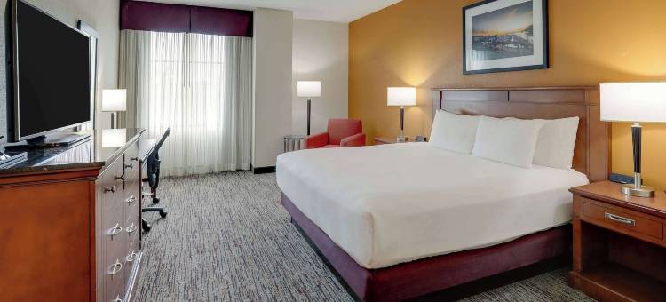 夏洛特-诺斯莱克德鲁里套房酒店(Drury Inn & Suites Charlotte Northlake)图片