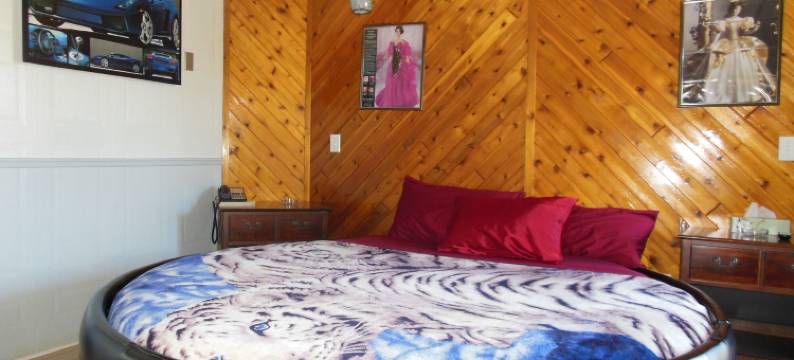 庭院汽车旅馆(Motor Court Motel)图片