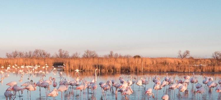 马斯彩绘酒店(Le Mas de Peint - Hôtel et Restaurant)图片