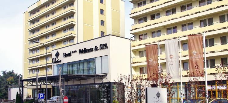 维斯提纳康体Spa酒店(Vestina Wellness & Spa Hotel)图片