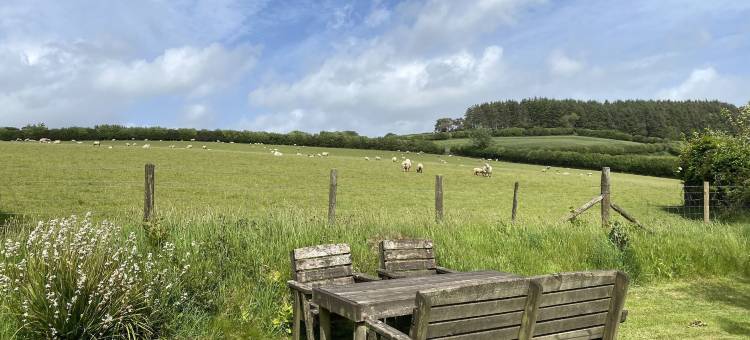 石谷仓小屋酒店(The Stone Barn Cottage)图片