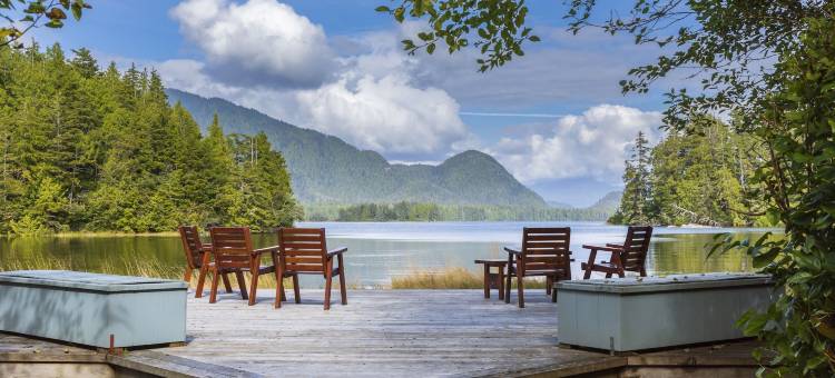 图芬诺泽德酒店(Hotel Zed Tofino)图片