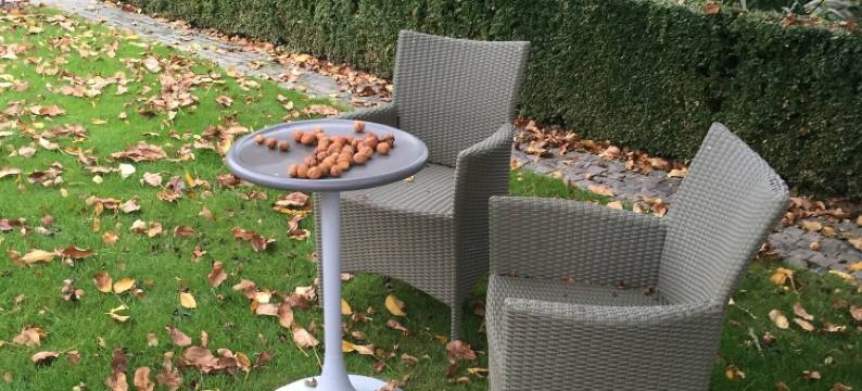 德棱特梅斯特霍维床和早餐旅馆(B&B de Rentmeesterhoeve)图片