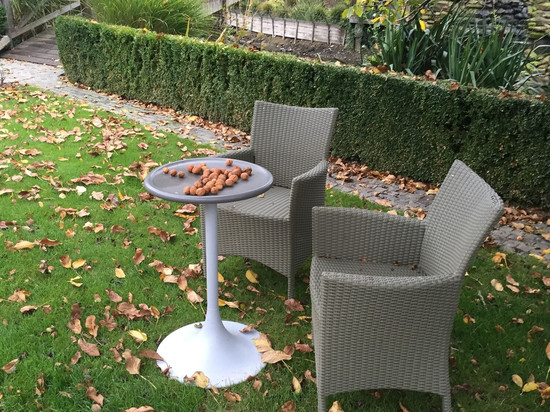 德棱特梅斯特霍维床和早餐旅馆