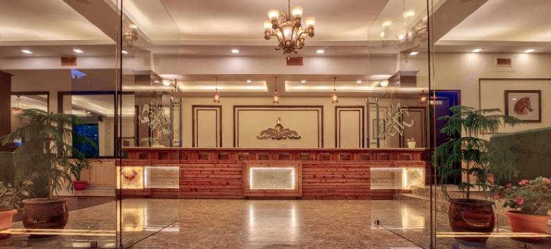 凯托大酒店(The Katoch Grand Resort)图片