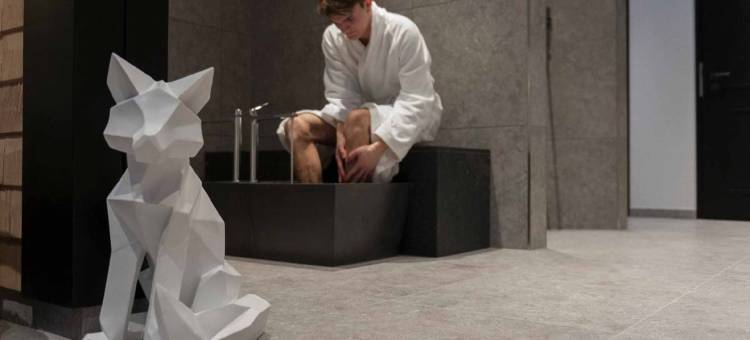 福克斯酒店旅馆(Gasthaus - Hotel Fuchs)图片