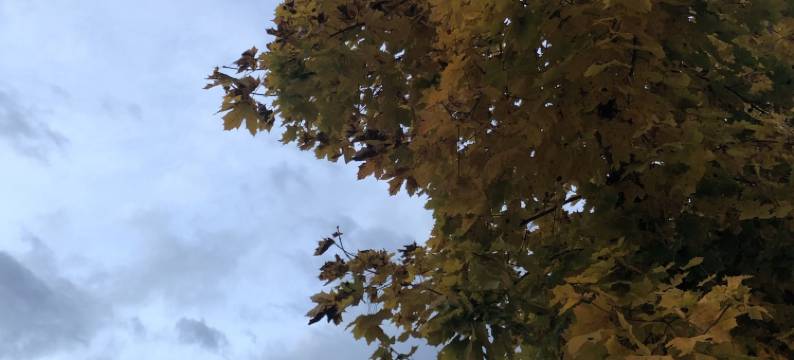 米拉贝洛酒店 - 慢享健康酒店(Hotel Mirabello - Slow Hotel Benessere)图片