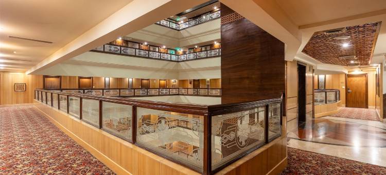 斯里纳格丽筠酒店(Radisson Srinagar)图片