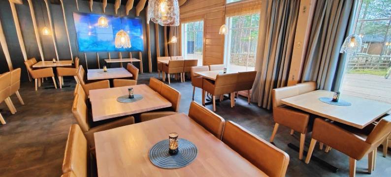 北极冰雪酒店及玻璃屋(Arctic SnowHotel & Glass Igloos)图片