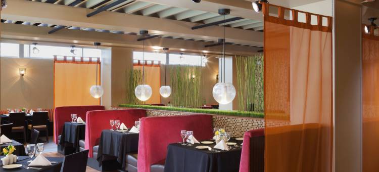 查塔努加市中心希尔顿逸林酒店及度假村(DoubleTree by Hilton Chattanooga Downtown)图片