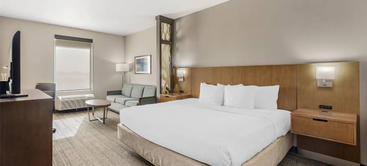 贝斯特韦斯特格林橡树套房酒店(Best Western Green Oak Inn  Suites)图片