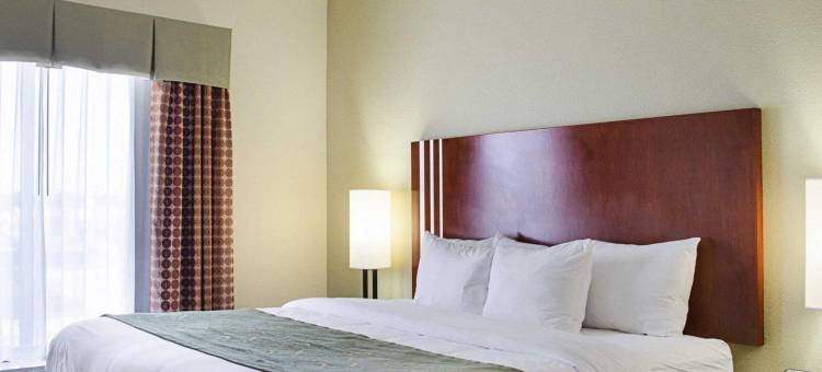 Comfort Suites图片