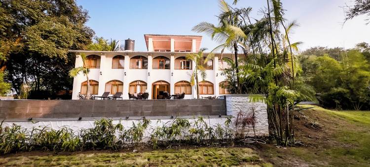 阿埃拉基棕榈(Aeraki palms)图片