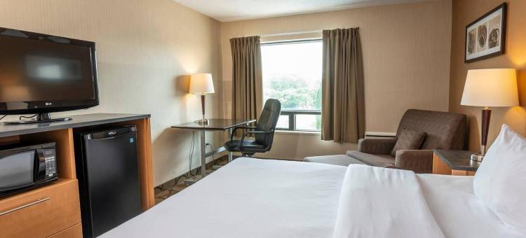 舒适酒店(Comfort Inn)图片