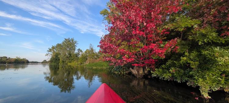 尼亚加拉溪畔民宿(Niagara Creekside B&B)图片