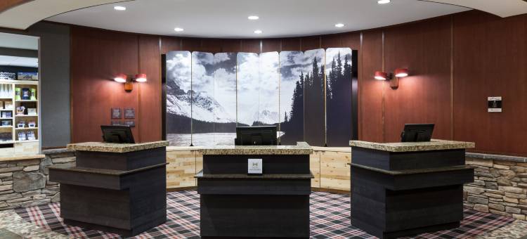 安克雷奇大使套房酒店(Embassy Suites by Hilton Anchorage)图片