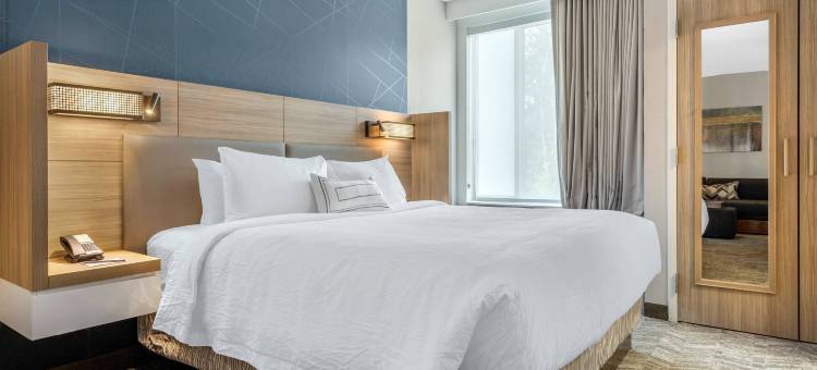 夏洛特西南万豪SpringHill Suites酒店(SpringHill Suites Charlotte Southwest)图片
