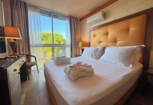 Hotel GreifHotel Overview