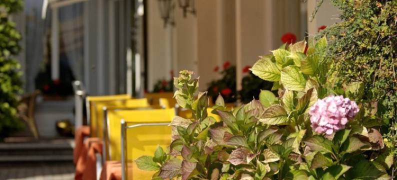 茵特拉肯美地酒店(Hotel Beausite)图片