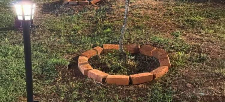 JUNGLE FARMS BY MAARK INN图片