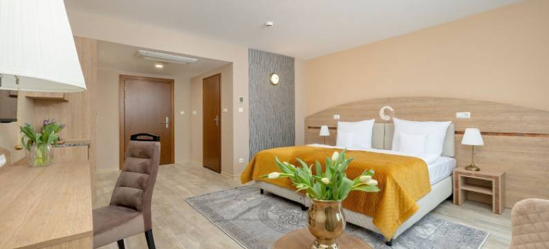 Juvena健康水疗酒店(Hotel Juvena Wellness & Spa)图片