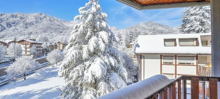 城市中心的杜鹃花(Il Rododendro City Center - Happy Rentals)图片