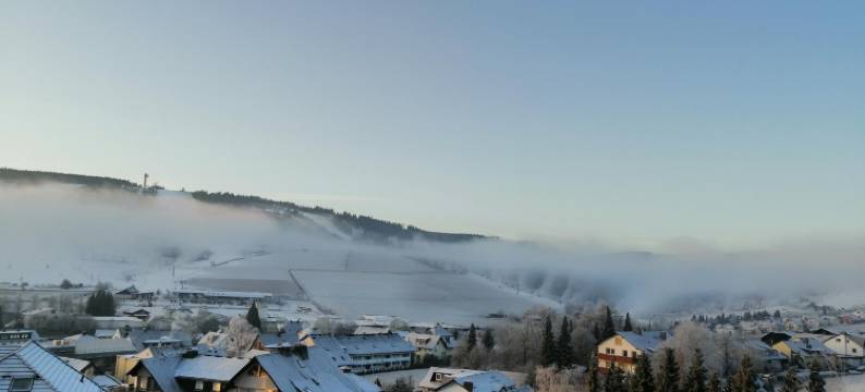 霍赫绍厄兰酒店 2010(Hotel Hochsauerland 2010)图片