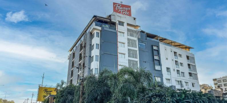 木瓜树酒店(Papaya Tree Hotels)图片