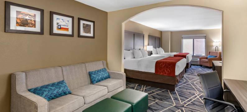 舒适套房酒店(Comfort Inn & Suites)图片