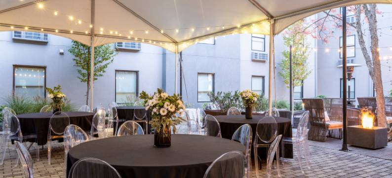 亚特兰大中城区Voco达尔文酒店(voco THE DARWIN - ATLANTA MIDTOWN by IHG)图片