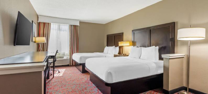 北查尔斯顿-诺斯伍兹舒适套房酒店(Comfort Inn & Suites North Charleston - Northwoods)图片