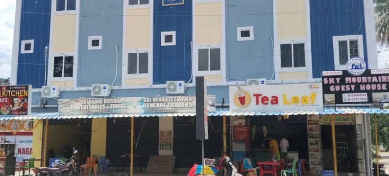 天空山宾馆(sky mountains guest house)图片